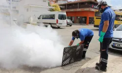 Antalya'da 19 ilçede yoğun vektörle mücadele