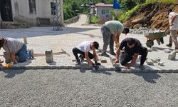 Artvin'den kısa kısa