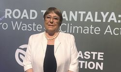 BM Genel Sekreteri adayı Bachelet'ten iklim krizine karşı siyasi irade ve işbirliği çağrısı: