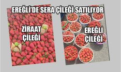 EREĞLİ ÇİLEĞİNİ 250’E BULURSANIZ ALIN