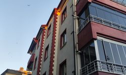 Çorum'da binanın çatısına sıkışan kırlangıç itfaiye ekiplerince kurtarıldı