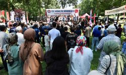 Düzce'de 'Biz Büyük Bir Aileyiz' pikniği düzenlendi