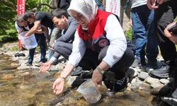 Düzce'de Karadere'ye 7 bin 500 alabalık yavrusu bırakıldı