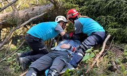 Giresun'da UMKE gönüllüleri ormanda arama kurtarma tatbikatı yaptı