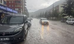 Gümüşhane'de sağanak ve dolu etkili oldu