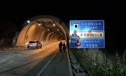 Karabük'te tünelde otomobilin çarptığı bozayı yaralandı