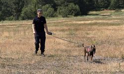 Karabük'te üniversite öğrencisini arama çalışmalarında 45 kilometrelik alan tarandı