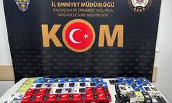 Kastamonu'da düzenlenen kaçakçılık operasyonunda 1 kişi yakalandı