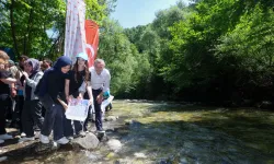 Kocaeli Kiraz Dere'ye 50 bin yavru balık bırakıldı