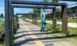 Kocaeli'de Gebze Millet Bahçesi yaza hazırlanıyor