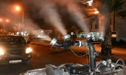Manisa Büyükşehir'den 17 ilçede kesintisiz ilaçlama