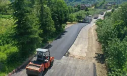 Ordu'da Çatalpınar Göller Mahallesi yolu asfaltlandı