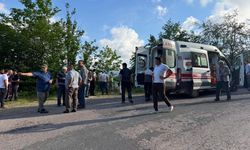 Ordu'da uçuruma yuvarlanan minibüsteki 5'i çocuk 10 kişi yaralandı
