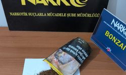 Ordu'da uyuşturucu operasyonunda 7 şüpheli gözaltına alındı