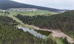 Ordu'nun 1200 rakımlı Keyfalan Yaylası ziyaretçilerini ağırlıyor
