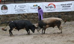 Rize'de '30. Çamlıhemşin Ayder Kültür, Sanat ve Doğa Festivali' başladı