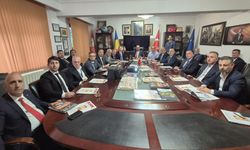 TÜRKİYE-ROMANYA İŞBİRLİĞİ HAREKETİ