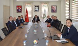 Samsun Valisi Tavlı Havza OSB'de incelemelerde bulundu
