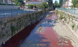 Samsun'da dereyi zirai ilaç ile kirleten işletmeye suç duyurusu