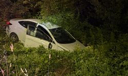 Samsun'da hedeğe devrilen otomobildeki 2 kişi yaralandı