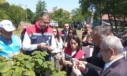 SAMURAY ARICILIĞI SALINDI