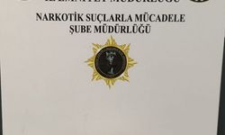 Samsun'da uyuşturucu operasyonunda 1 zanlı yakalandı