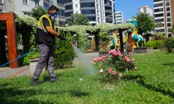 Samsun'da yaz aylarında vektörle mücadele çalışmaları artırıldı