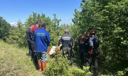 Sinop'ta ormanda ineği rahatsızlanan çiftçiye itfaiye, jandarma ve AFAD ekiplerinden yardım eli