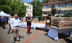 Sinop'ta Türkiye'nin önemli mimari yapılarının maketlerinin yer aldığı sergi açıldı