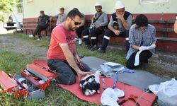 Sinop'ta yumurtadan çıkan 46 leylek yavrusu halkalandı