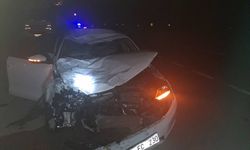 Tokat'ta 2 kişinin öldüğü, 1 kişinin yaralandığı kazayla ilgili 2 kişi tutuklandı