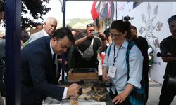 Tokat'ta 'Yaşayan Miras Şöleni' düzenlendi
