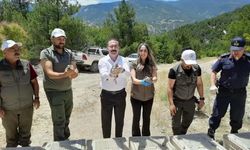 Tokat'ta zararlılarla mücadele için doğaya 200 keklik salındı