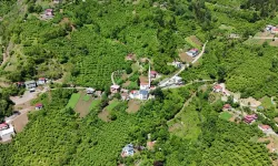 Trabzon Maçka'da içme suyu sorunu çözülüyor