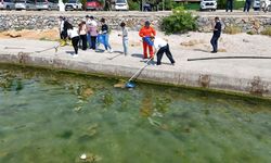 Tuzla'da öğrenciler kıyı temizliği için sahaya indi