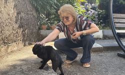 Vücudunda kırıklar bulunan sahipsiz kedi öğretmenlerin desteğiyle hayata tutundu