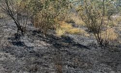ALAPLI'DA ORMAN YANGINI