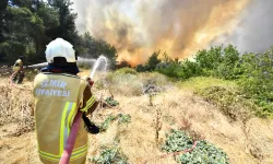 Yangın sezonu öncesi İzmir'de kritik zirve