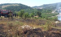 Zonguldak'ta çıkan yangında 2 hektar fındıklık alan yandı