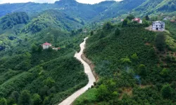 Altınordu Örencik'e konforlu ulaşım