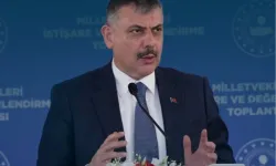 Bakan Çiftçi: Dünya bir kez daha gördü: Milli irade teslim alınamaz