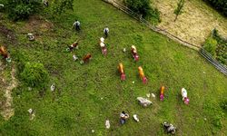 Doğu Karadeniz'de yayla göçü renkli görüntülere sahne oldu