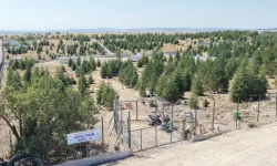 Eskişehir Büyükşehir'den sahipsiz hayvanlara yeni proje