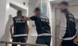 İstanbul'da narkotik 45,5 kilogram skunk ele geçirildi
