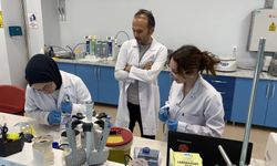 Karabük Üniversitesi'nde hücresel yaş analizi için yerli test kiti geliştiriliyor