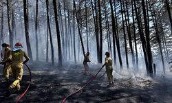 Kastamonu'da çıkan orman yangını söndürüldü