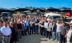 Kastamonu'da hasadın başlamasının ardından Taşköprü Sarımsak Pazarı açıldı