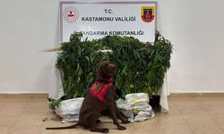 Kastamonu'da uyuşturucu operasyonunda 3 zanlı tutuklandı