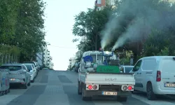 Maltepe'de ilaçlama çalışması hız kesmiyor