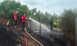 Mudanya Göynüklü'deki yangın ormanlık alana sıçramadan kontrol altına alındı